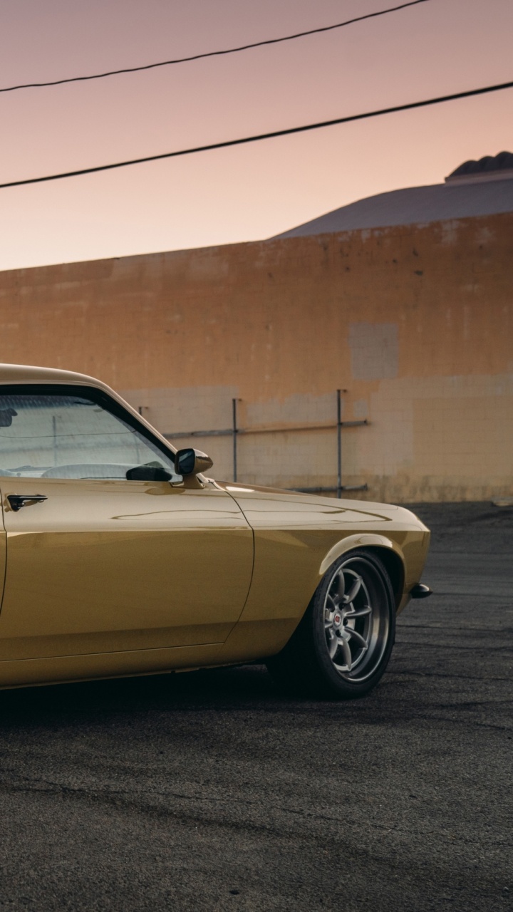 Обои speedkore rdj босс 302, босс 429, Мустанг босс 302, Король, мускул кар в разрешении 720x1280