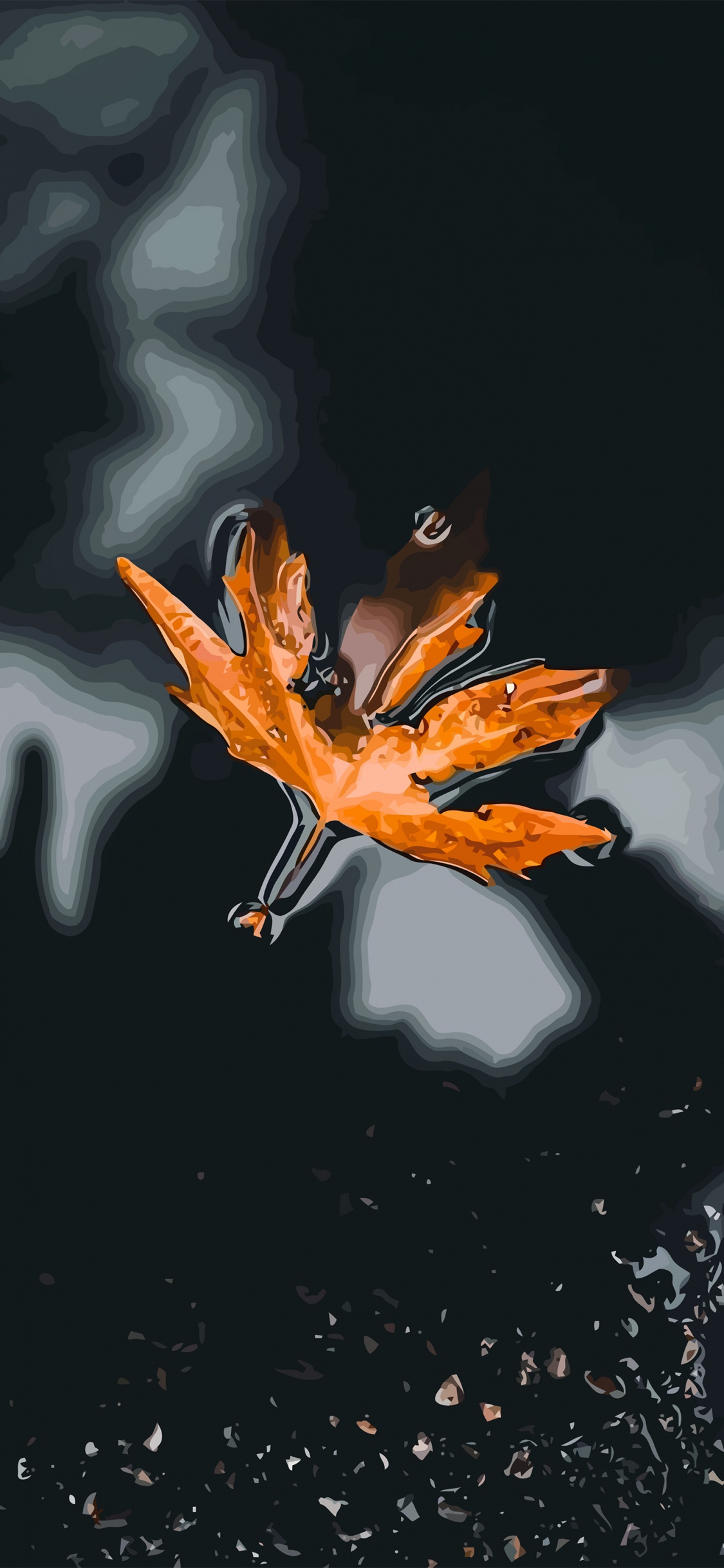 Обои Апельсин, жидкий, растение, капюшон, лепесток в разрешении 1125x2436