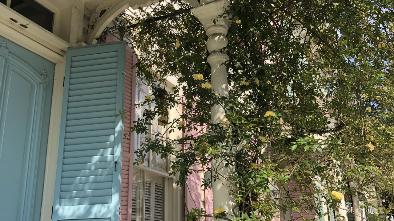 Обои дерево, древесина, свойство, Хаус, недвижимость в разрешении 1280x720