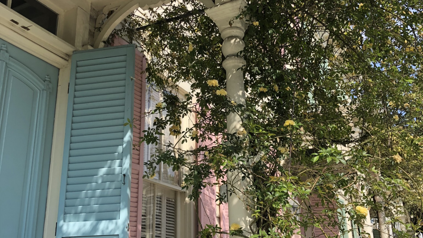 Обои дерево, древесина, свойство, Хаус, недвижимость в разрешении 1366x768