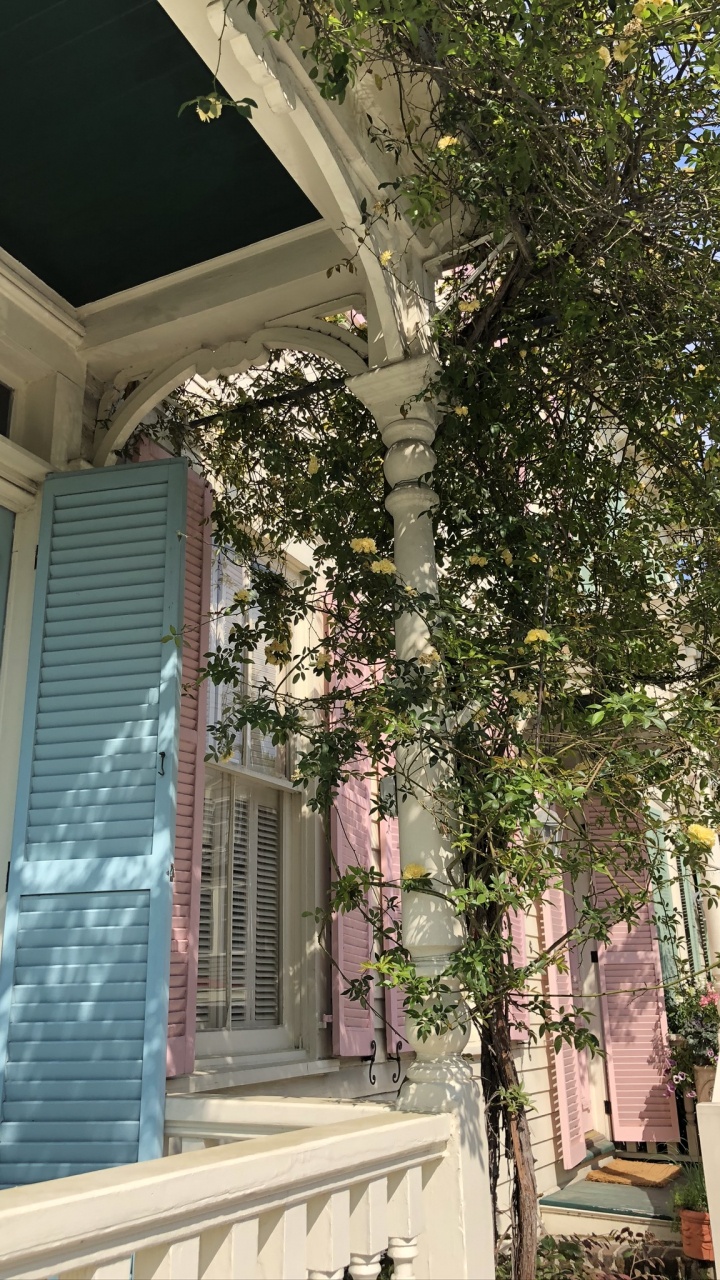 Обои дерево, древесина, свойство, Хаус, недвижимость в разрешении 720x1280