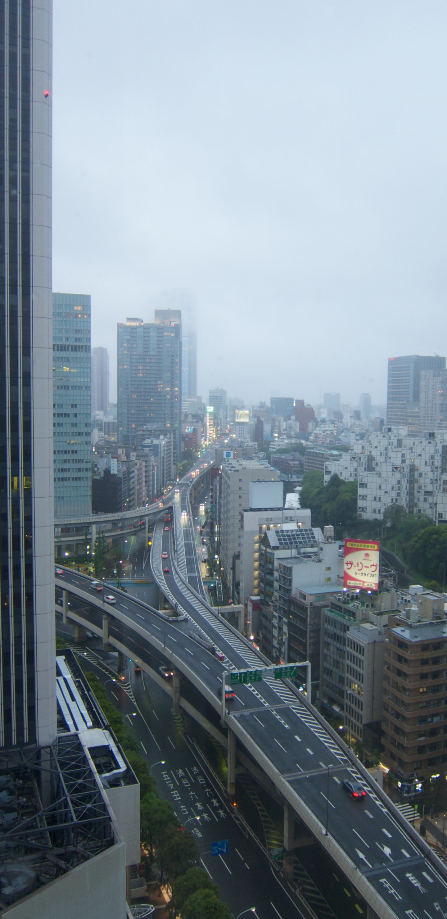 Обои небоскреб, городской пейзаж, городской район, метрополия, город в разрешении 1440x2960