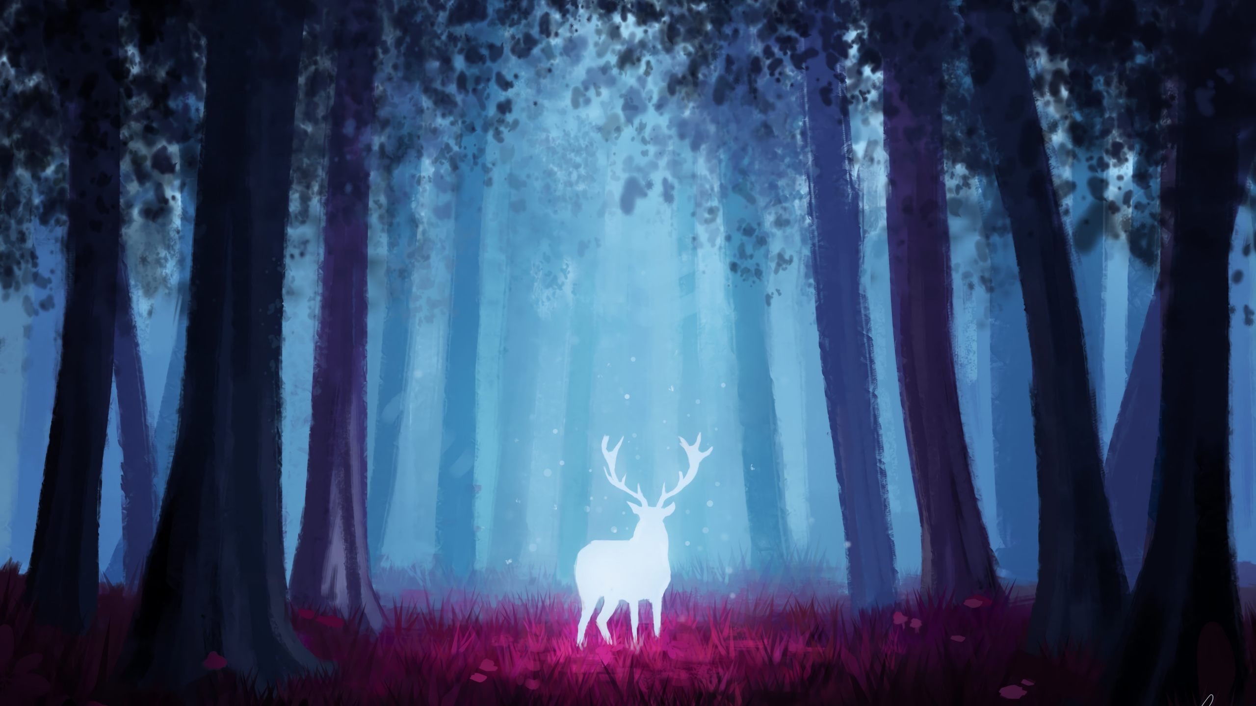 Обои природа, лес, дерево, лесистая местность, окружающая среда в разрешении 2560x1440