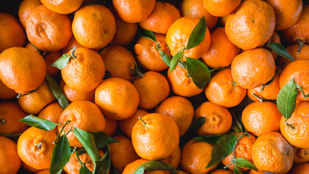 Обои мандарин, Танжело, мандариновый, Апельсин, фрукты в разрешении 1280x720