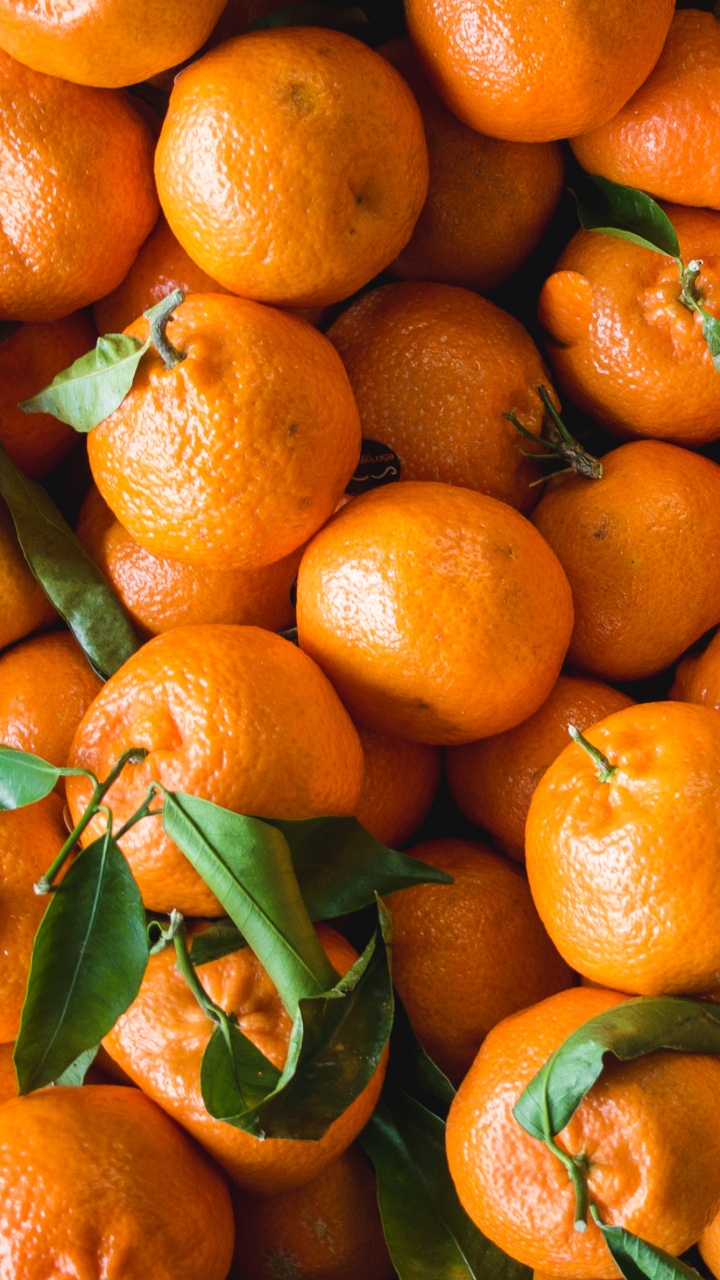 Обои мандарин, Танжело, мандариновый, Апельсин, фрукты в разрешении 720x1280