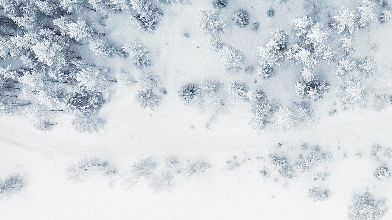 Обои 2021, календарная система, синий, белые, узор в разрешении 1280x720