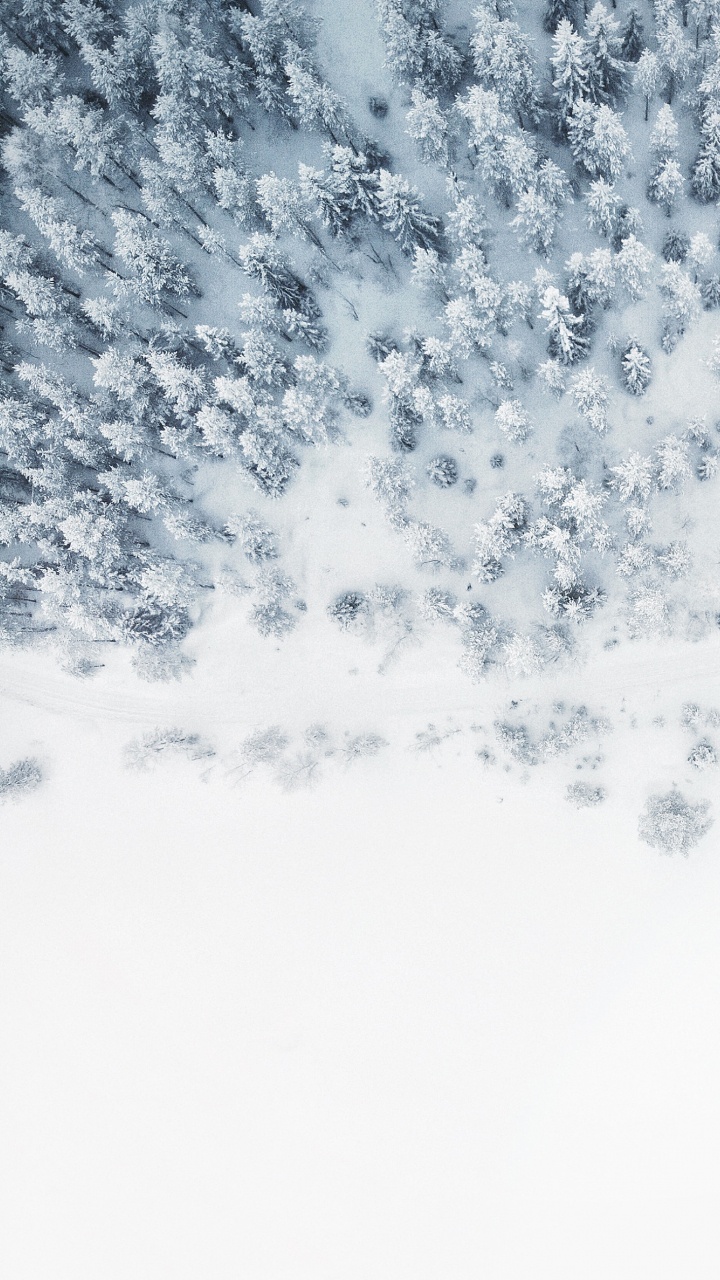 Обои 2021, календарная система, синий, белые, узор в разрешении 720x1280