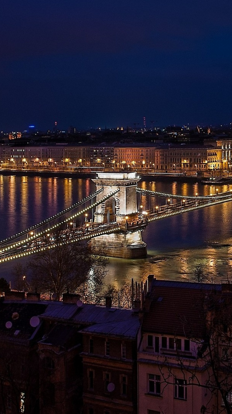 Обои ночь, мост, ориентир, город, реки в разрешении 750x1334