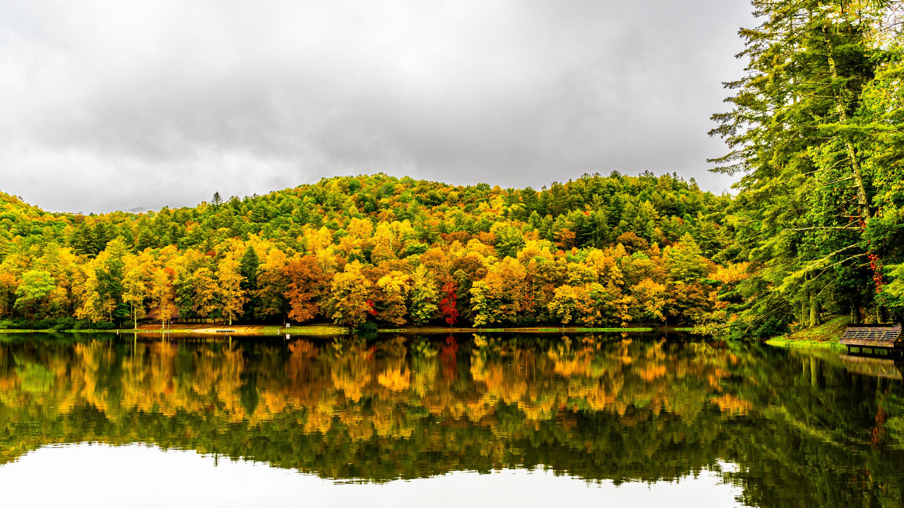 Обои отражение, растительность, облако, вода, растение в разрешении 1280x720