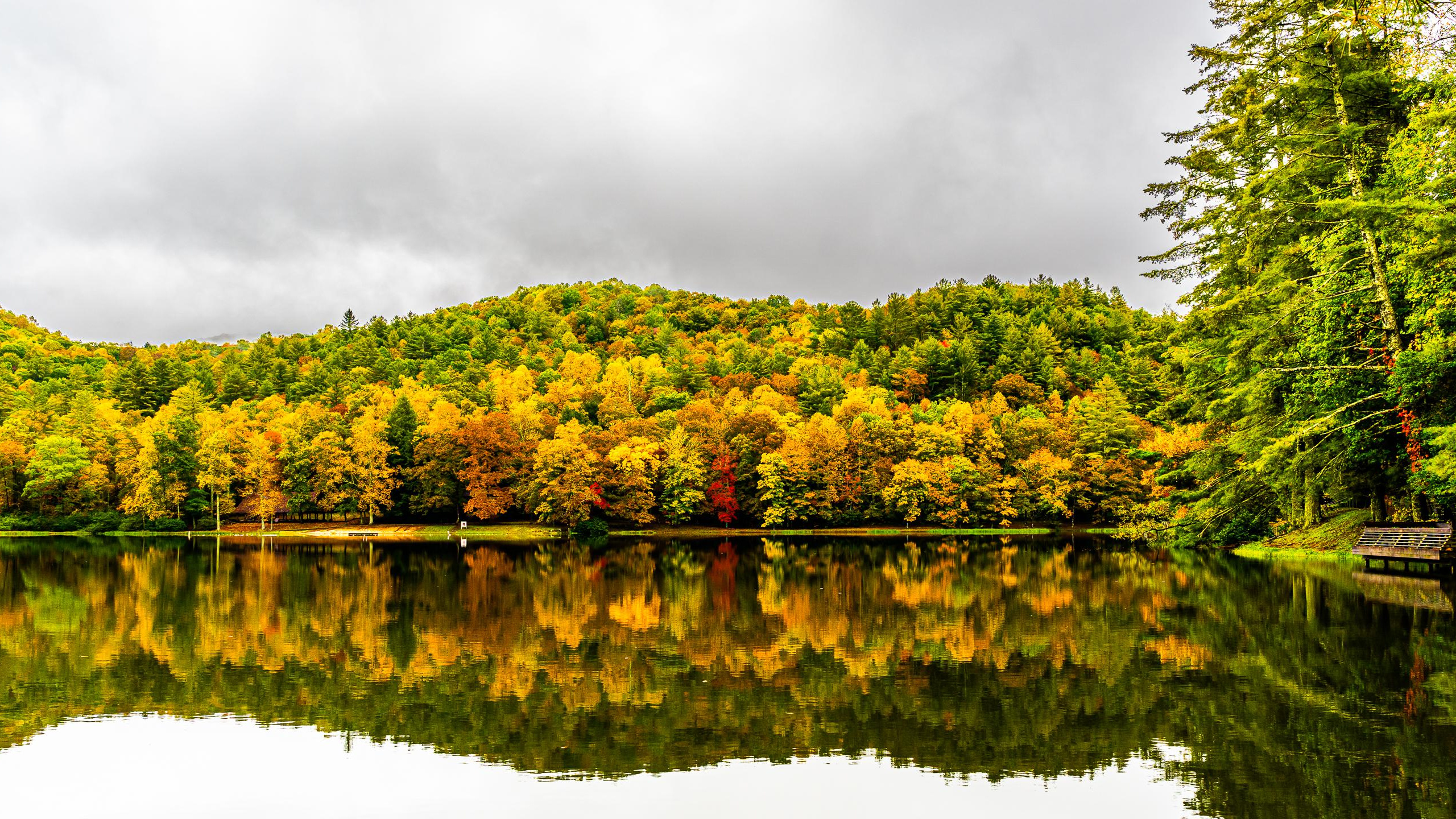 Обои отражение, растительность, облако, вода, растение в разрешении 2560x1440