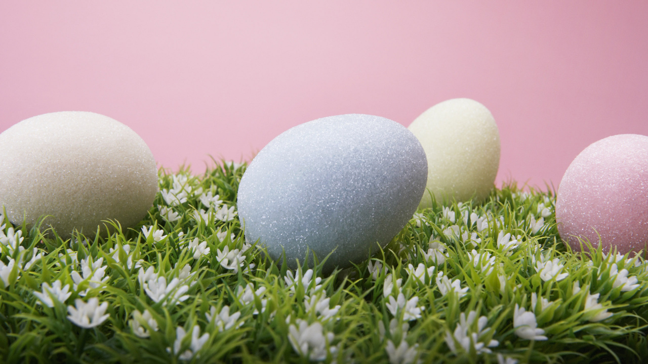 Обои пасхальное яйцо, яйцо, пасха, праздник, воскресение в разрешении 1280x720