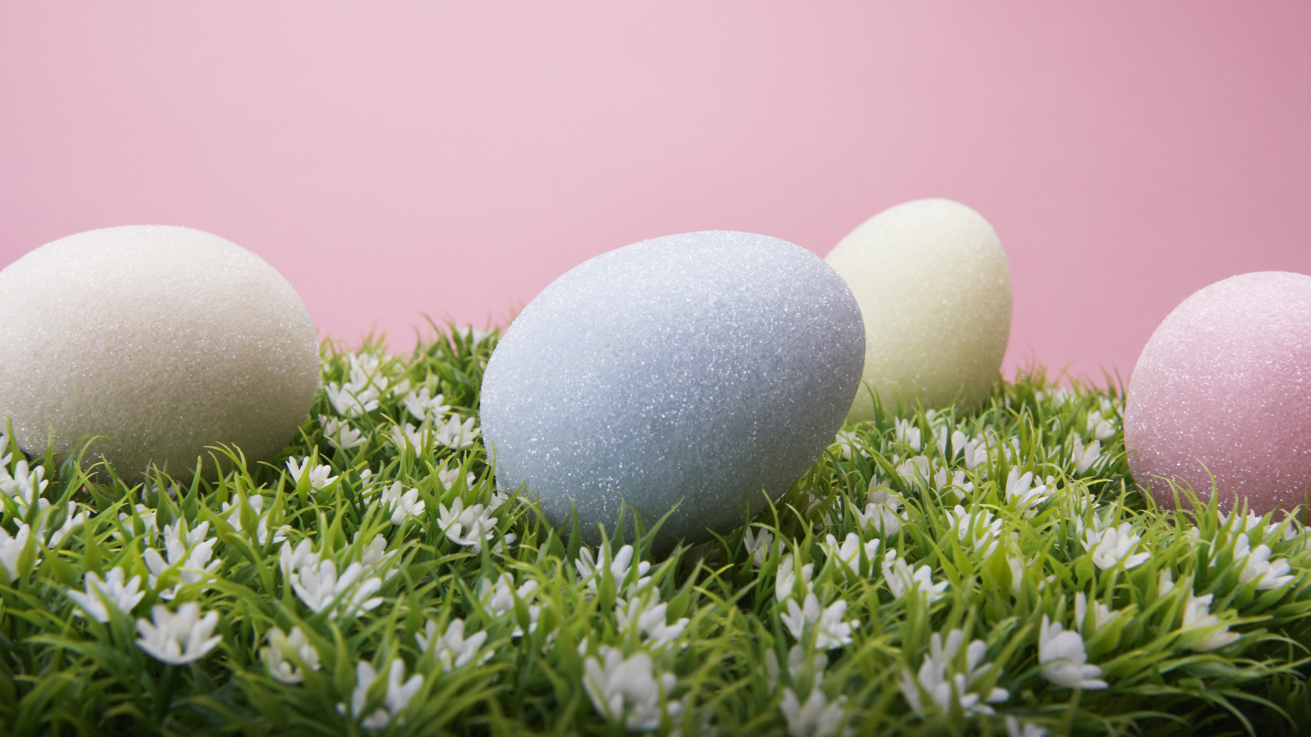 Обои пасхальное яйцо, яйцо, пасха, праздник, воскресение в разрешении 2560x1440