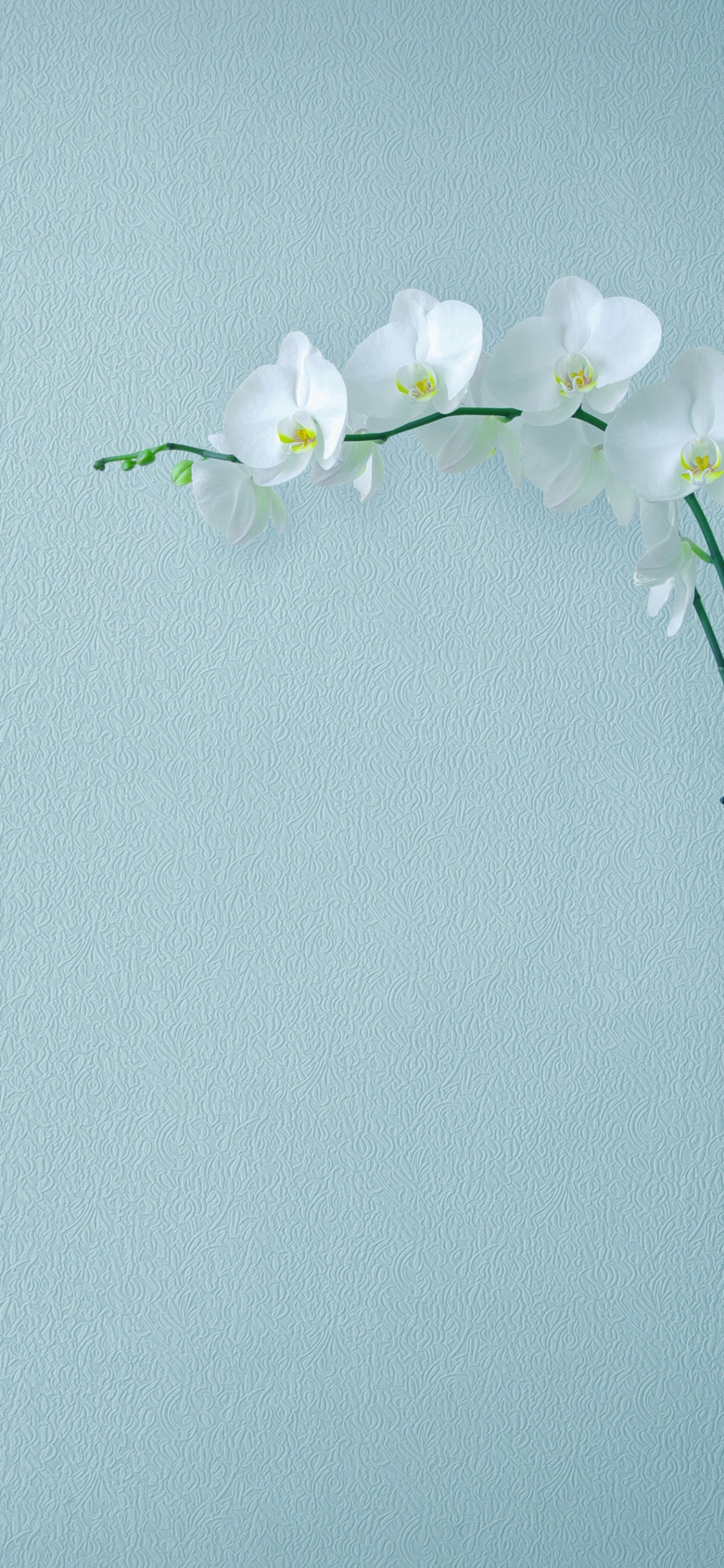 Обои Huawei, Huawei Mate, Huawei Mate 10, Huawei Mate 10 Pro, смартфон в разрешении 1125x2436