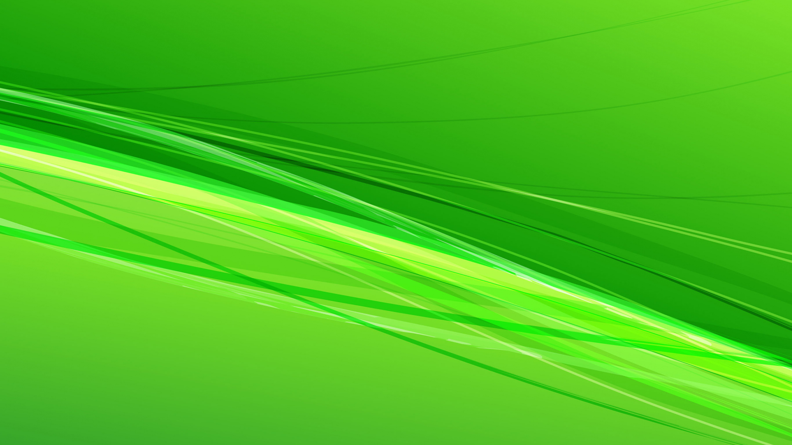 Обои зеленый, графика, желтый, линия, лист в разрешении 2560x1440