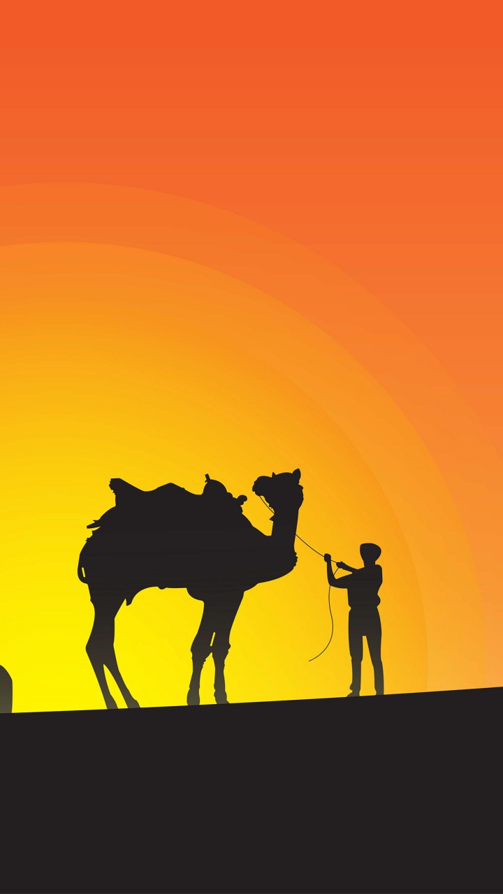 Обои пустыня, верблюд, арабский верблюд, Верблюдовые, окружающая среда в разрешении 720x1280