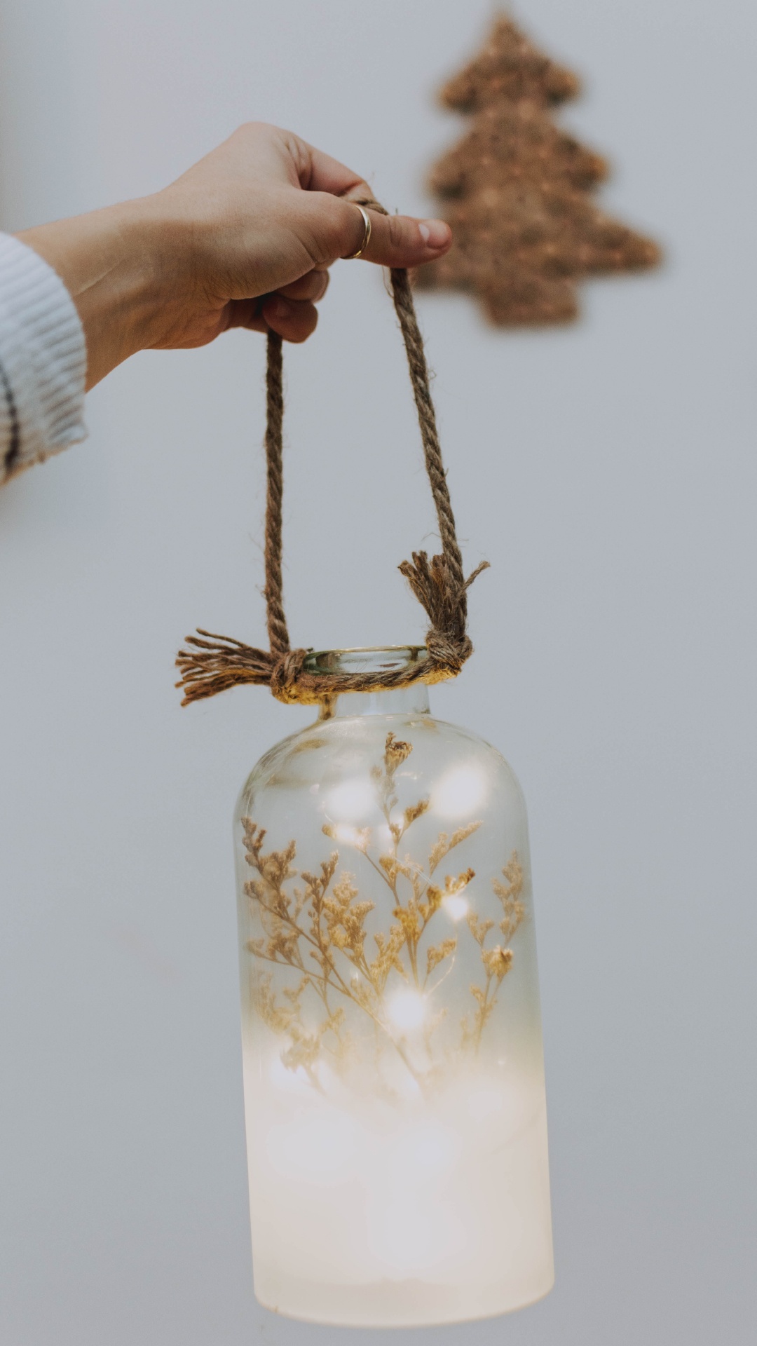 Обои глубина резкости, банка мейсона, Мелкий фокус, прут, ветвь в разрешении 1080x1920