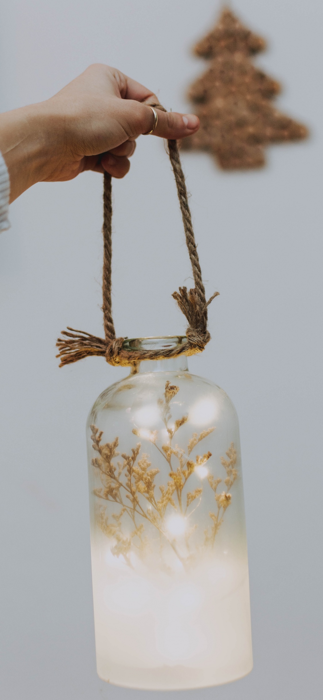 Обои глубина резкости, банка мейсона, Мелкий фокус, прут, ветвь в разрешении 1125x2436