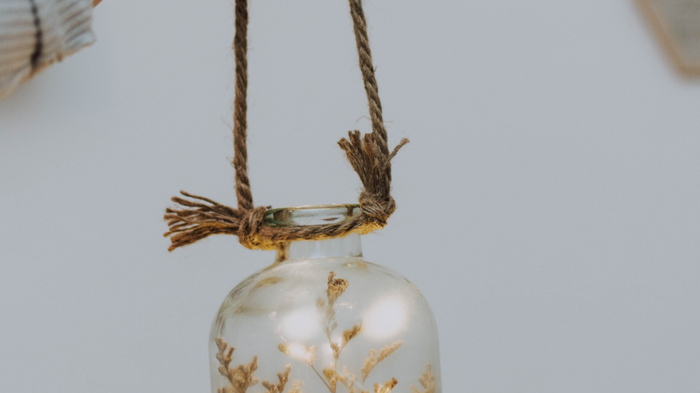 Обои глубина резкости, банка мейсона, Мелкий фокус, прут, ветвь в разрешении 1366x768