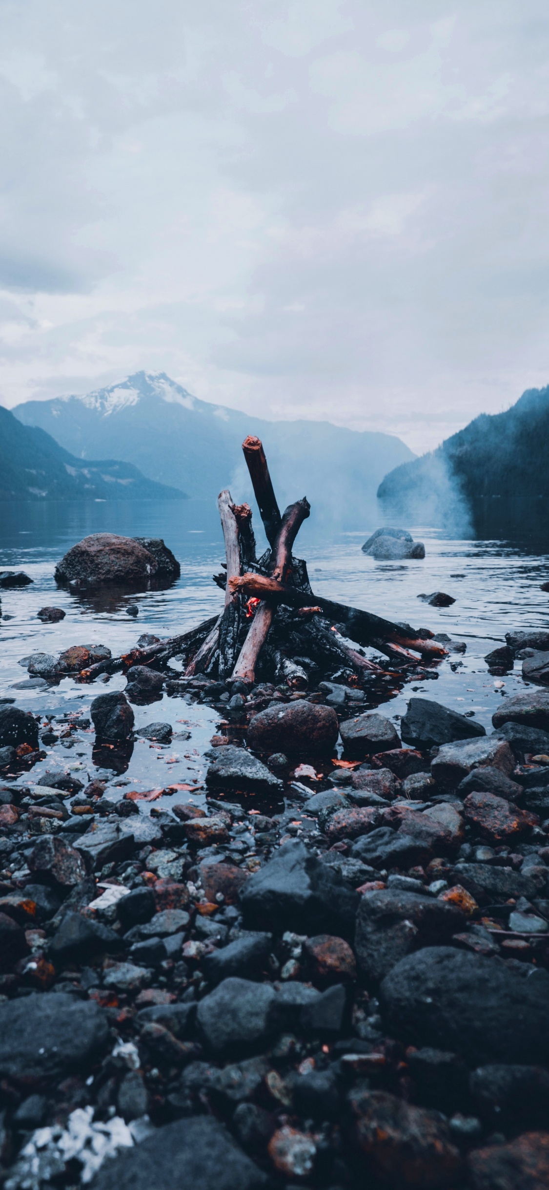Обои вода, дерево, гидроресурсы, древесина, рок в разрешении 1125x2436