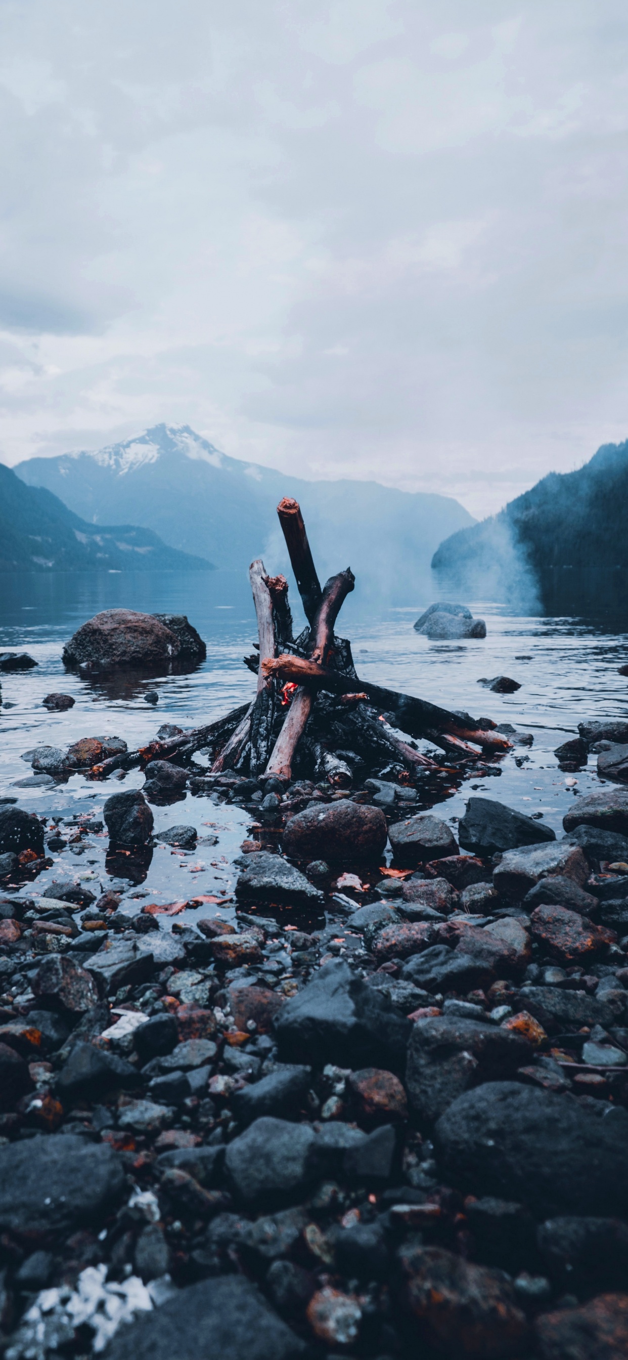 Обои вода, дерево, гидроресурсы, древесина, рок в разрешении 1242x2688