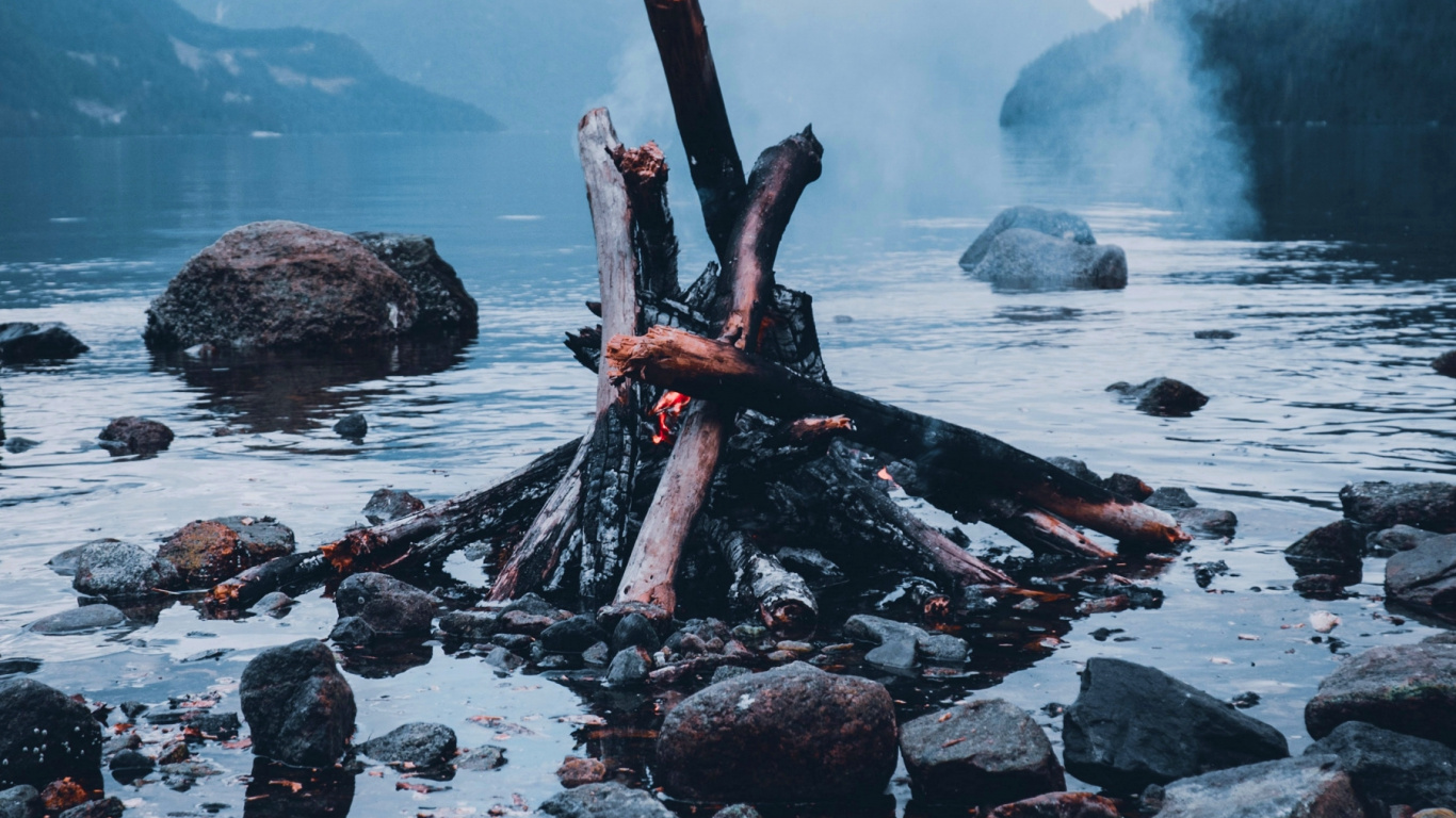 Обои вода, дерево, гидроресурсы, древесина, рок в разрешении 1366x768