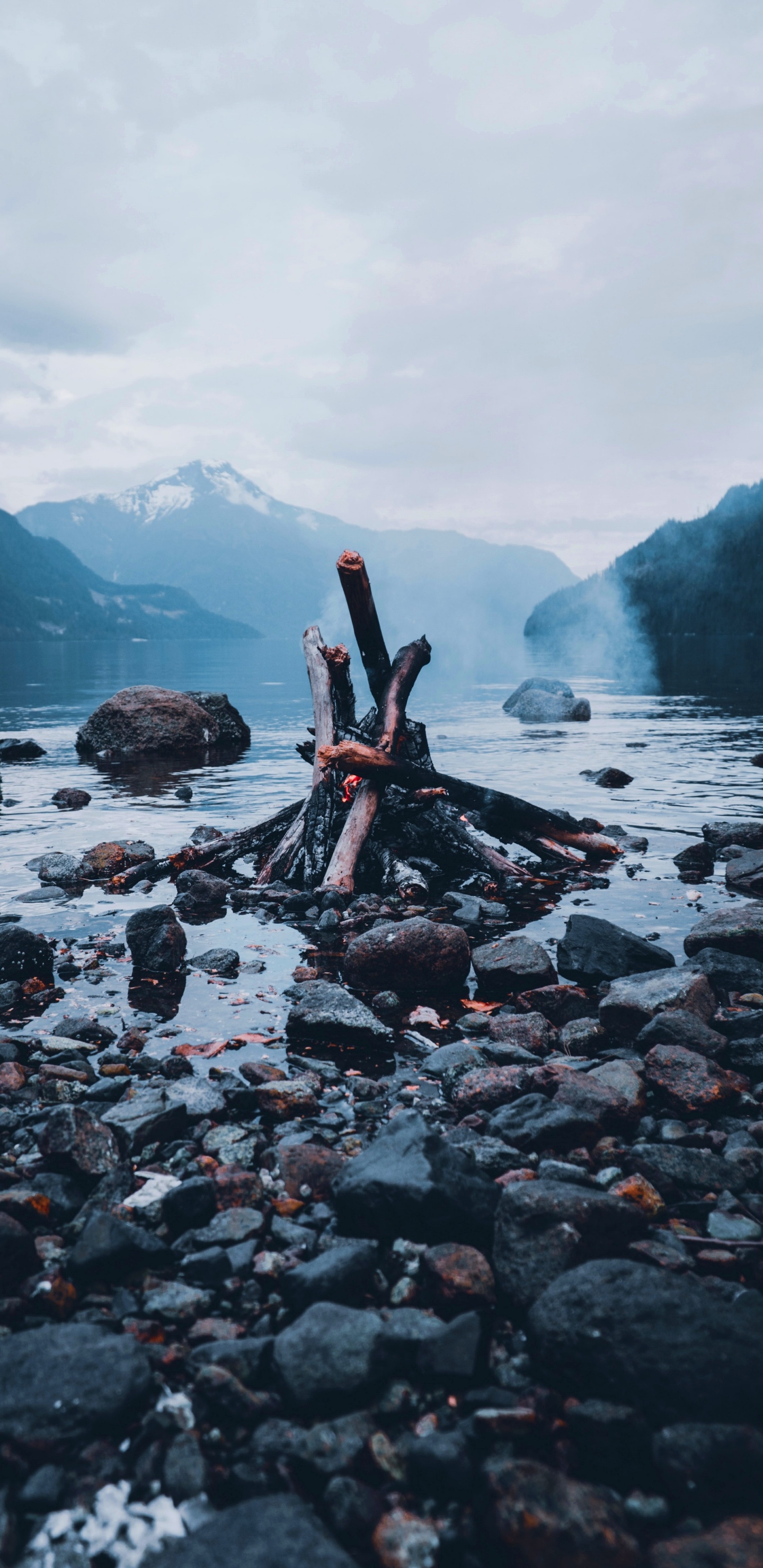 Обои вода, дерево, гидроресурсы, древесина, рок в разрешении 1440x2960