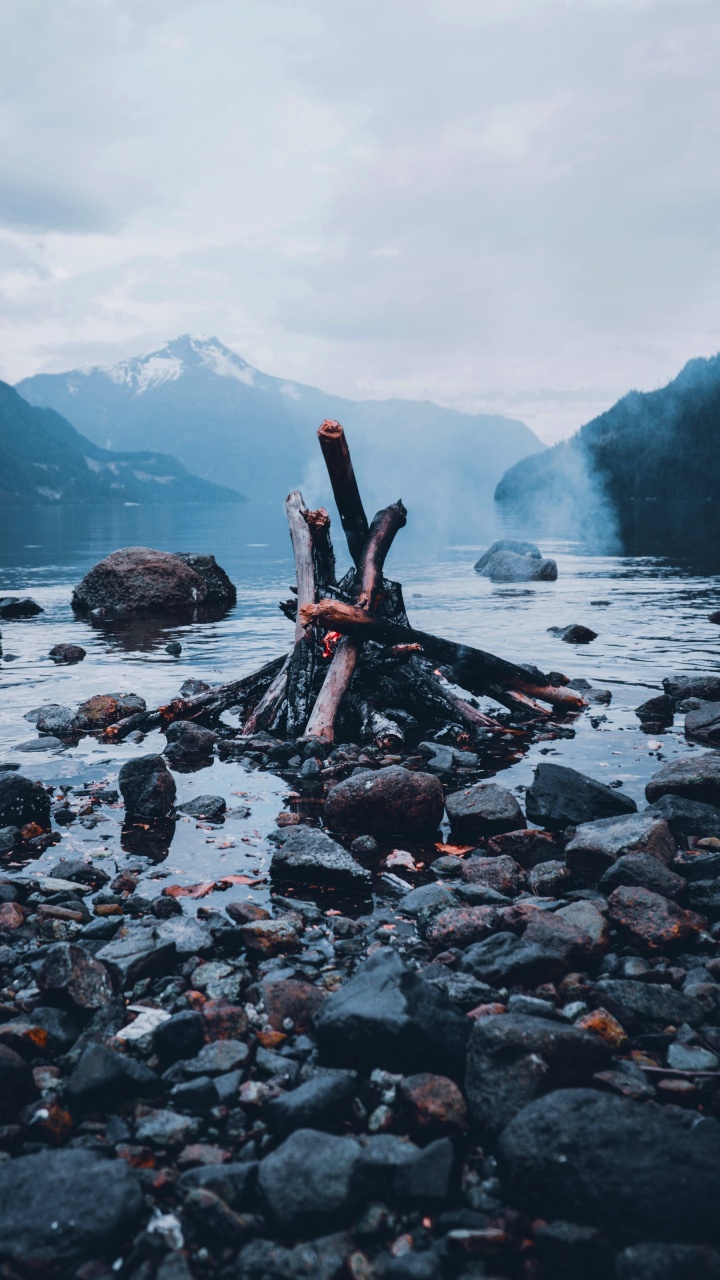 Обои вода, дерево, гидроресурсы, древесина, рок в разрешении 720x1280