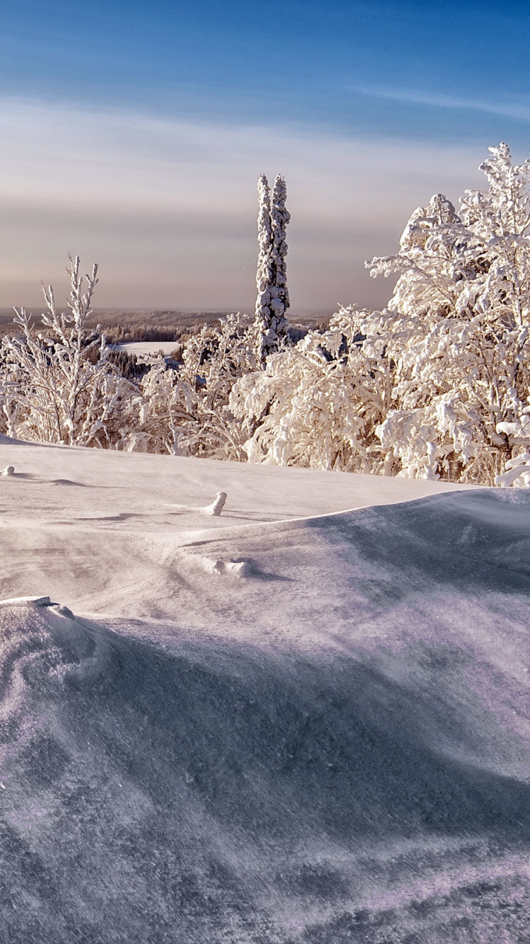 Обои зима, снег, природа, замораживание, дерево в разрешении 750x1334