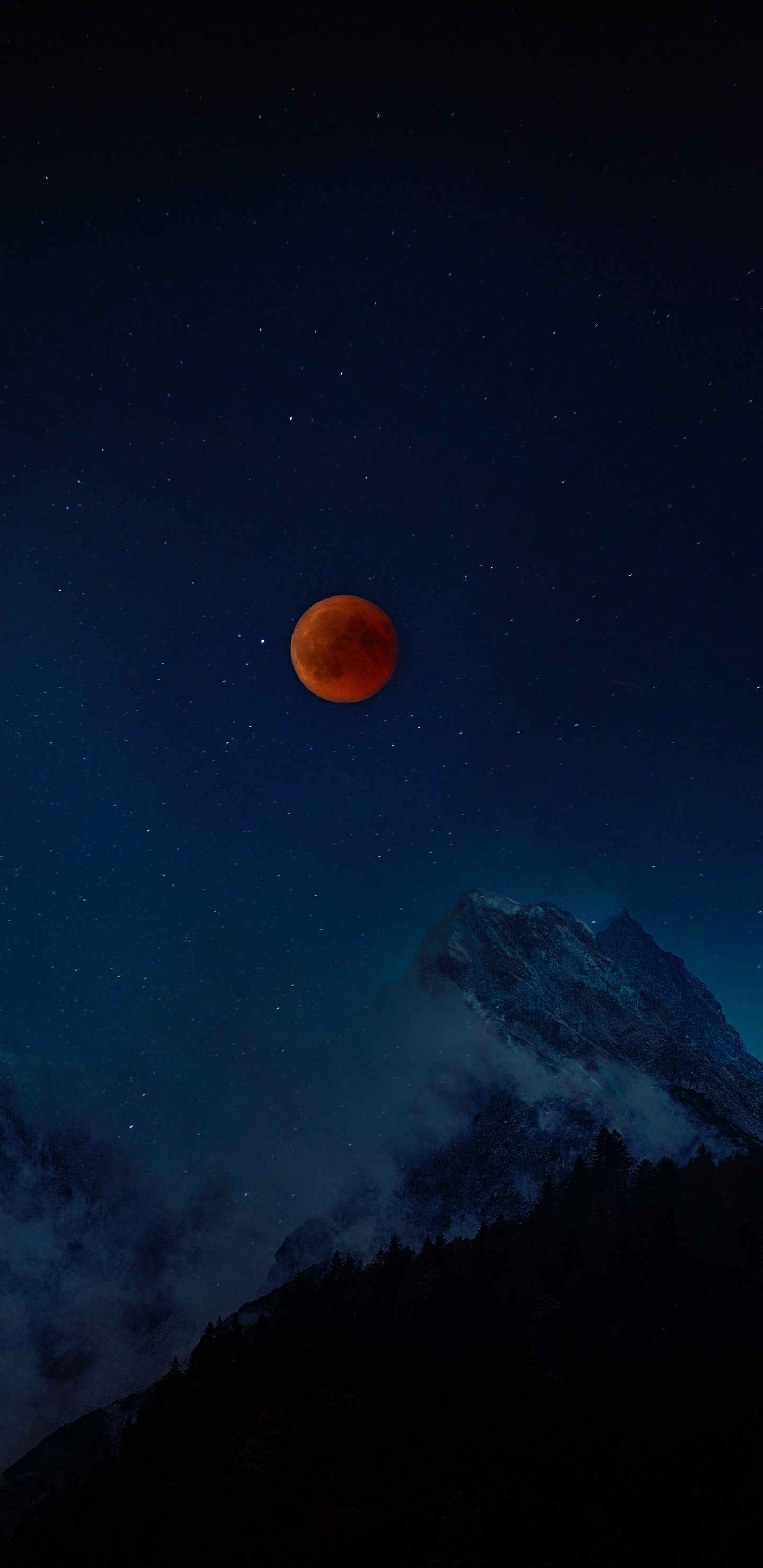 Обои луна, природа, небесное явление, астрономический объект, свет в разрешении 1440x2960