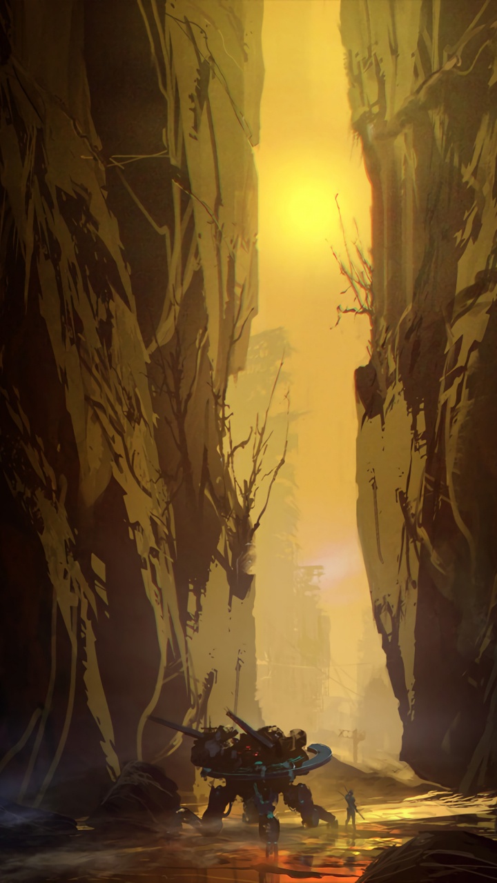 Обои темнота, атмосфера, мир, свет, растение в разрешении 720x1280