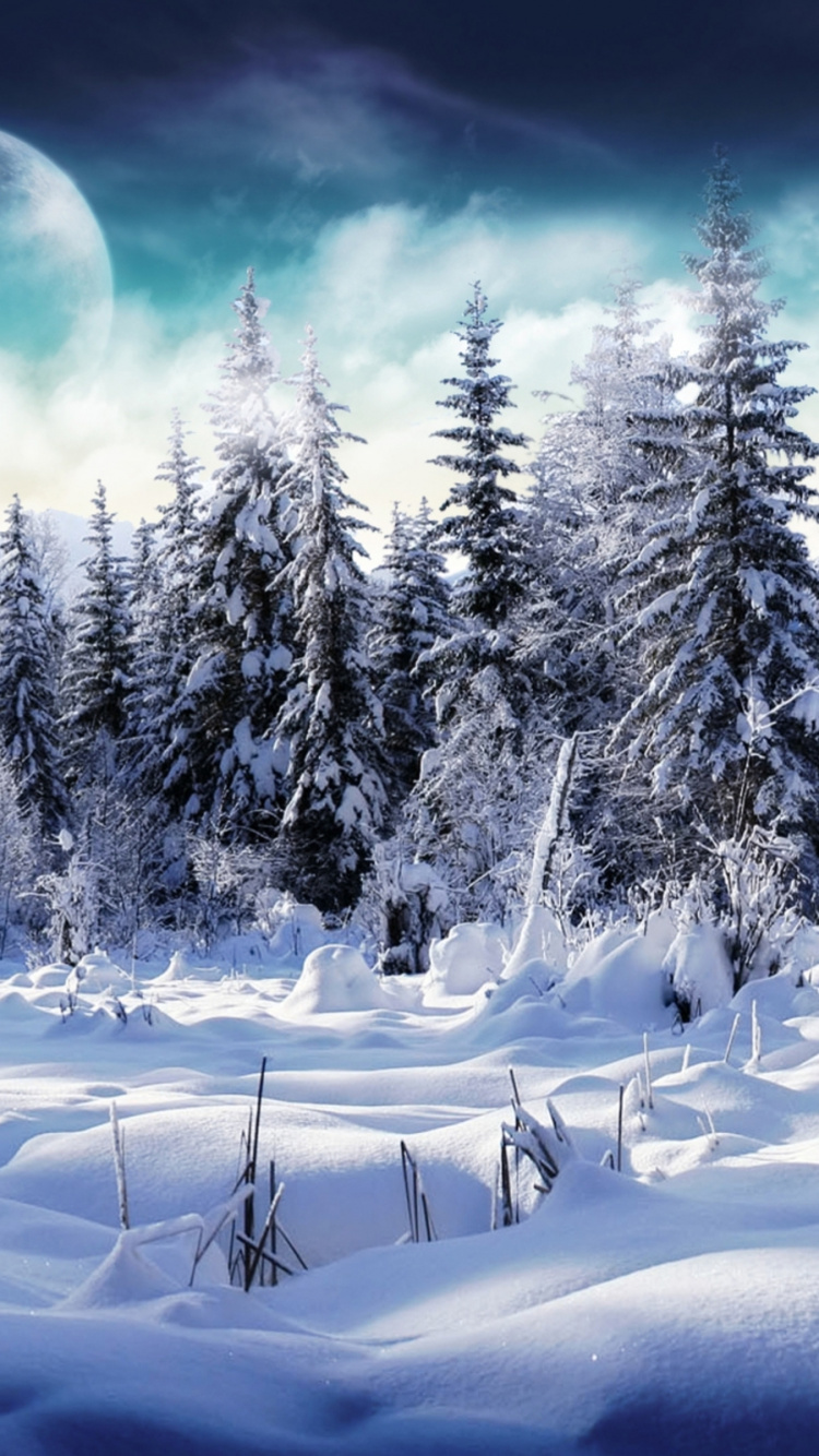 Обои зима, природа, снег, замораживание, дерево в разрешении 750x1334