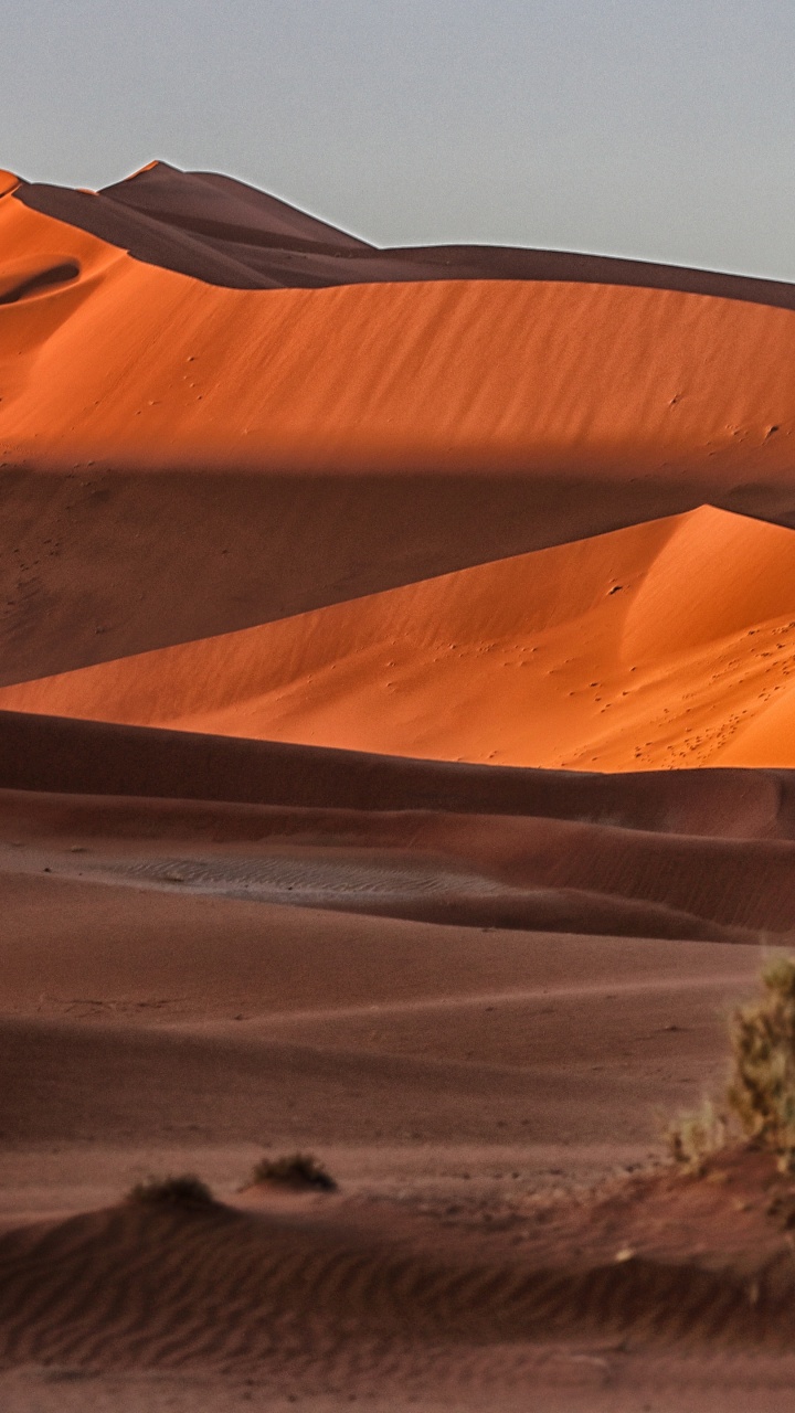 Обои эрг, Дюна, десерт, поющий песок, пустыня сахара в разрешении 720x1280