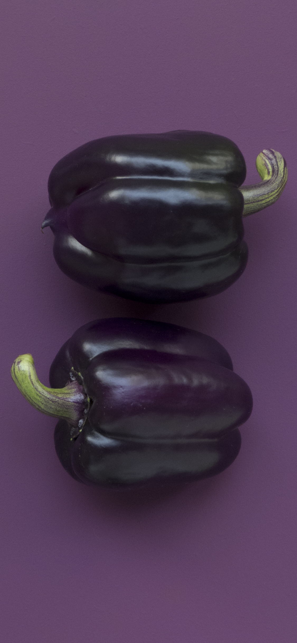 Обои завод, пурпур, Фиолетовый, сладкий перец и перец чили, apple в разрешении 1125x2436