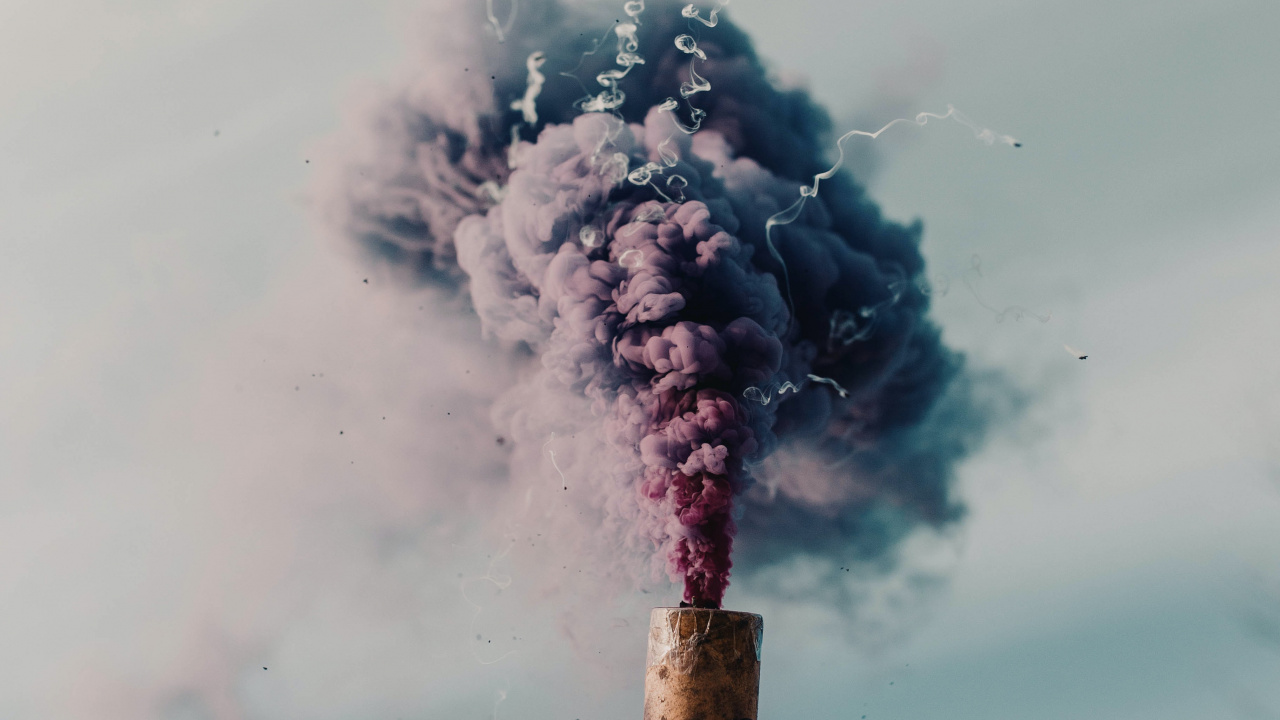 Обои эстетика дымовой шашки, дымовая шашка, дым, облако, растение в разрешении 1280x720