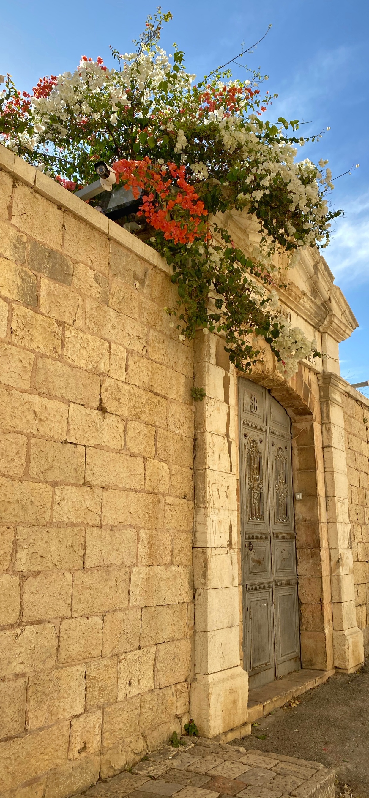 Обои стена, недвижимость, каменная стена, свойство, дорожное покрытие в разрешении 1242x2688