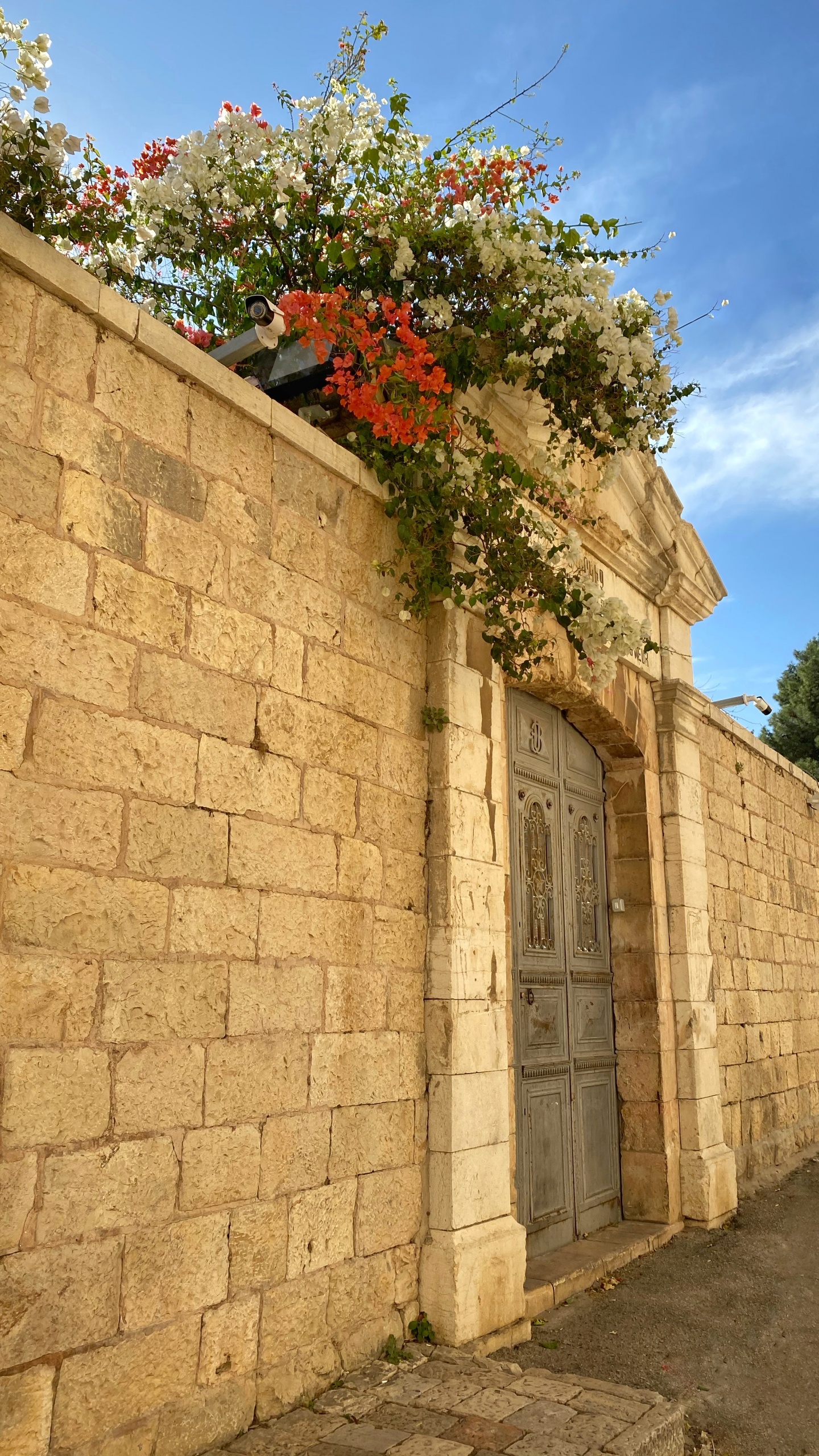 Обои стена, недвижимость, каменная стена, свойство, дорожное покрытие в разрешении 1440x2560