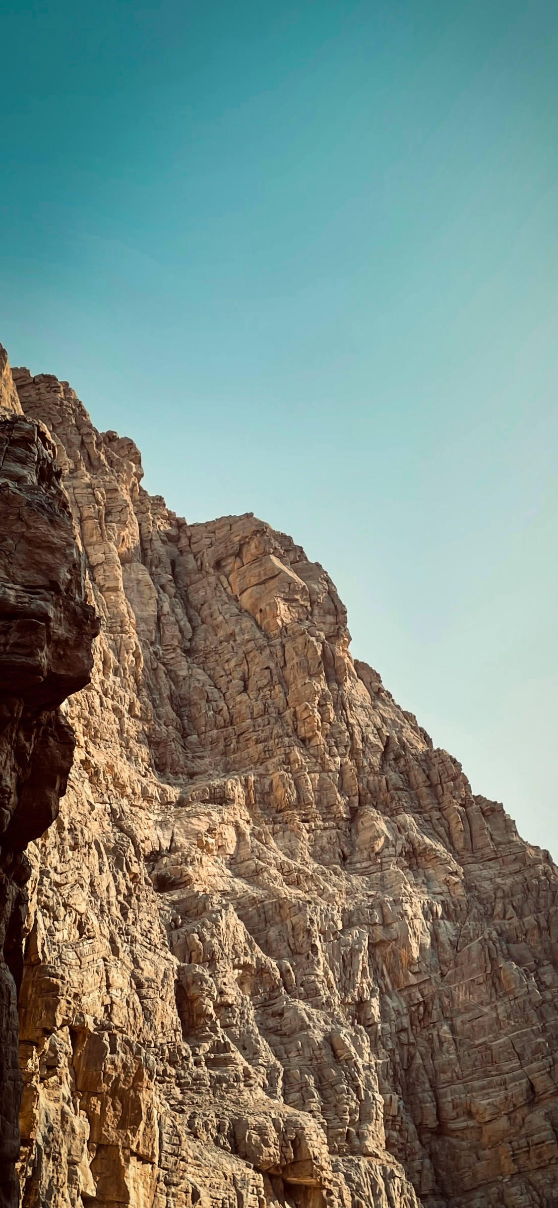 Обои редми примечание 9, сяоми редми 9т, редми примечание 8 про, смартфон, Xiaomi в разрешении 1125x2436