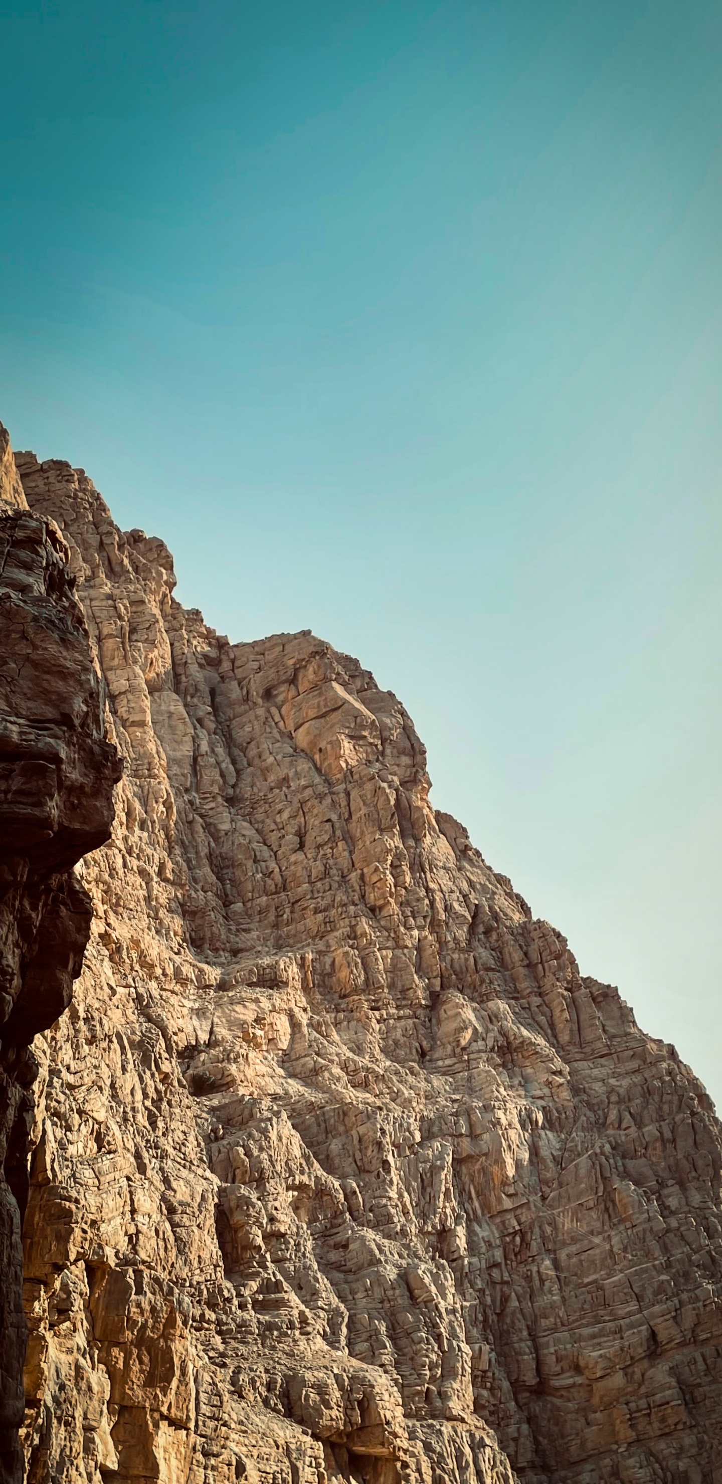 Обои редми примечание 9, сяоми редми 9т, редми примечание 8 про, смартфон, Xiaomi в разрешении 1440x2960