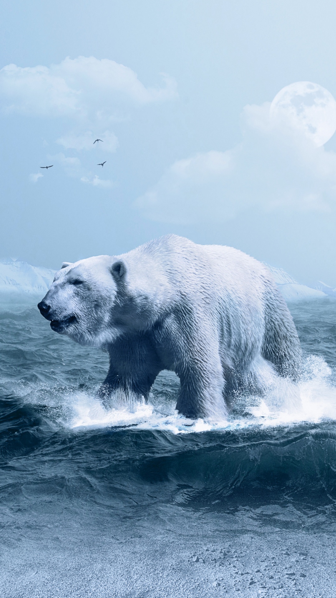 Обои белый медведь, медведь, Арктика, лед, полярные льды в разрешении 1080x1920