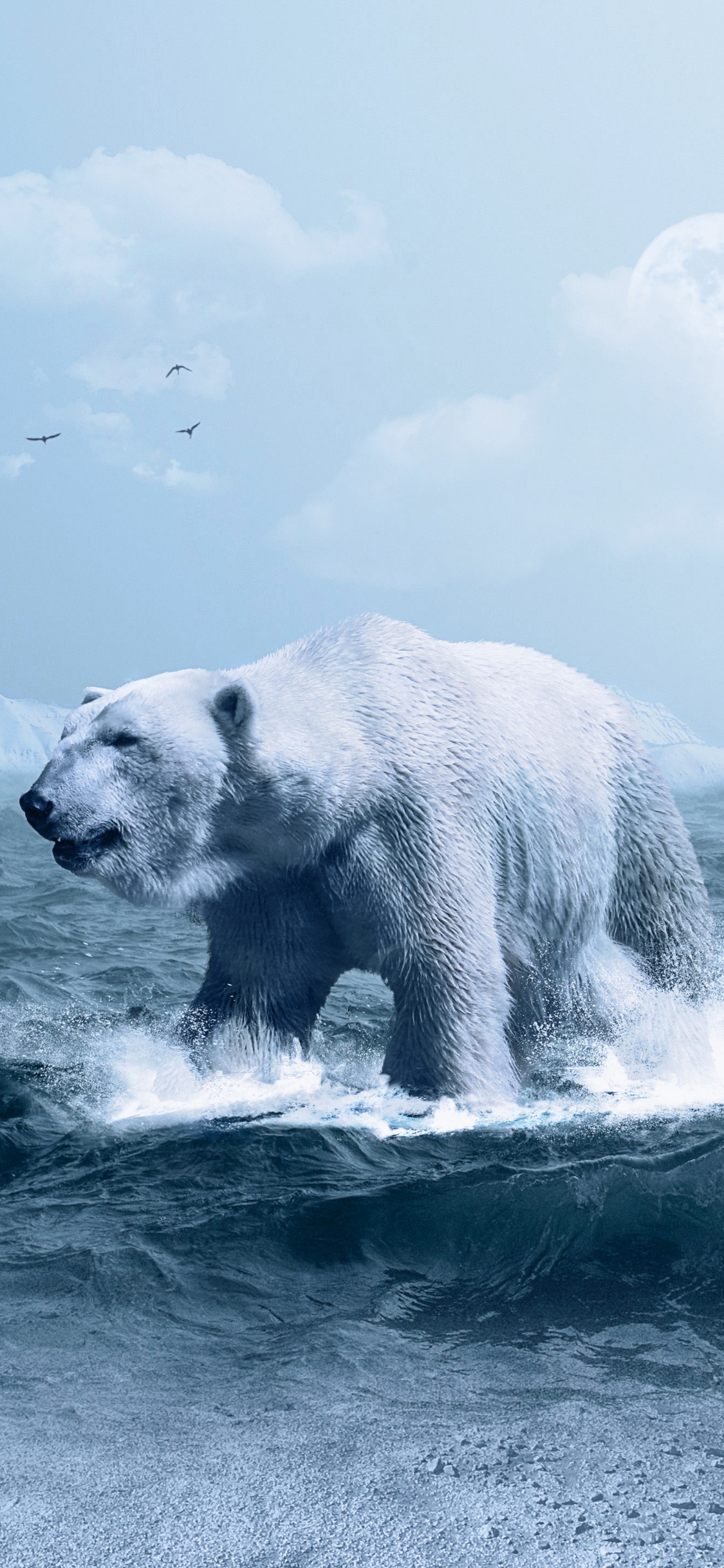 Обои белый медведь, медведь, Арктика, лед, полярные льды в разрешении 1125x2436