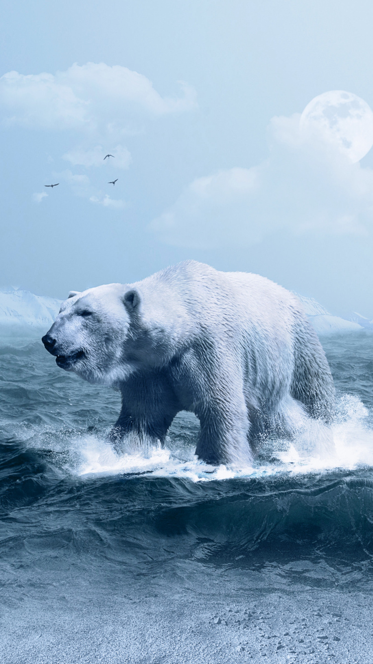 Обои белый медведь, медведь, Арктика, лед, полярные льды в разрешении 750x1334