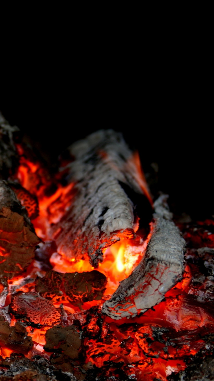 Обои древесный уголь, уголь, огонь, костер, тепло в разрешении 750x1334