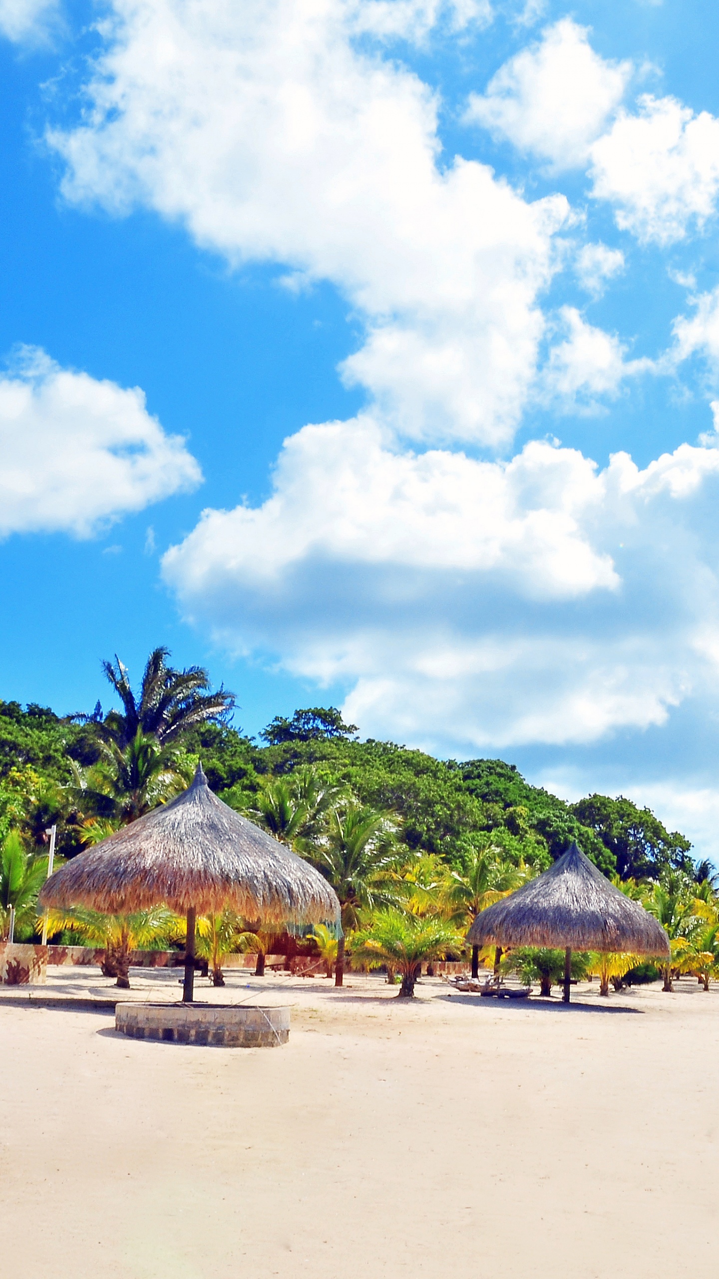 Обои пляж, Карибский бассейн, тропическая зона, отпуск, берег в разрешении 1440x2560