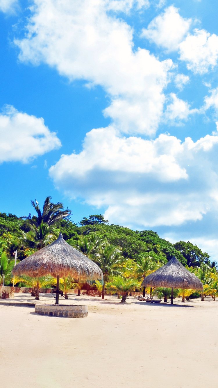 Обои пляж, Карибский бассейн, тропическая зона, отпуск, берег в разрешении 750x1334