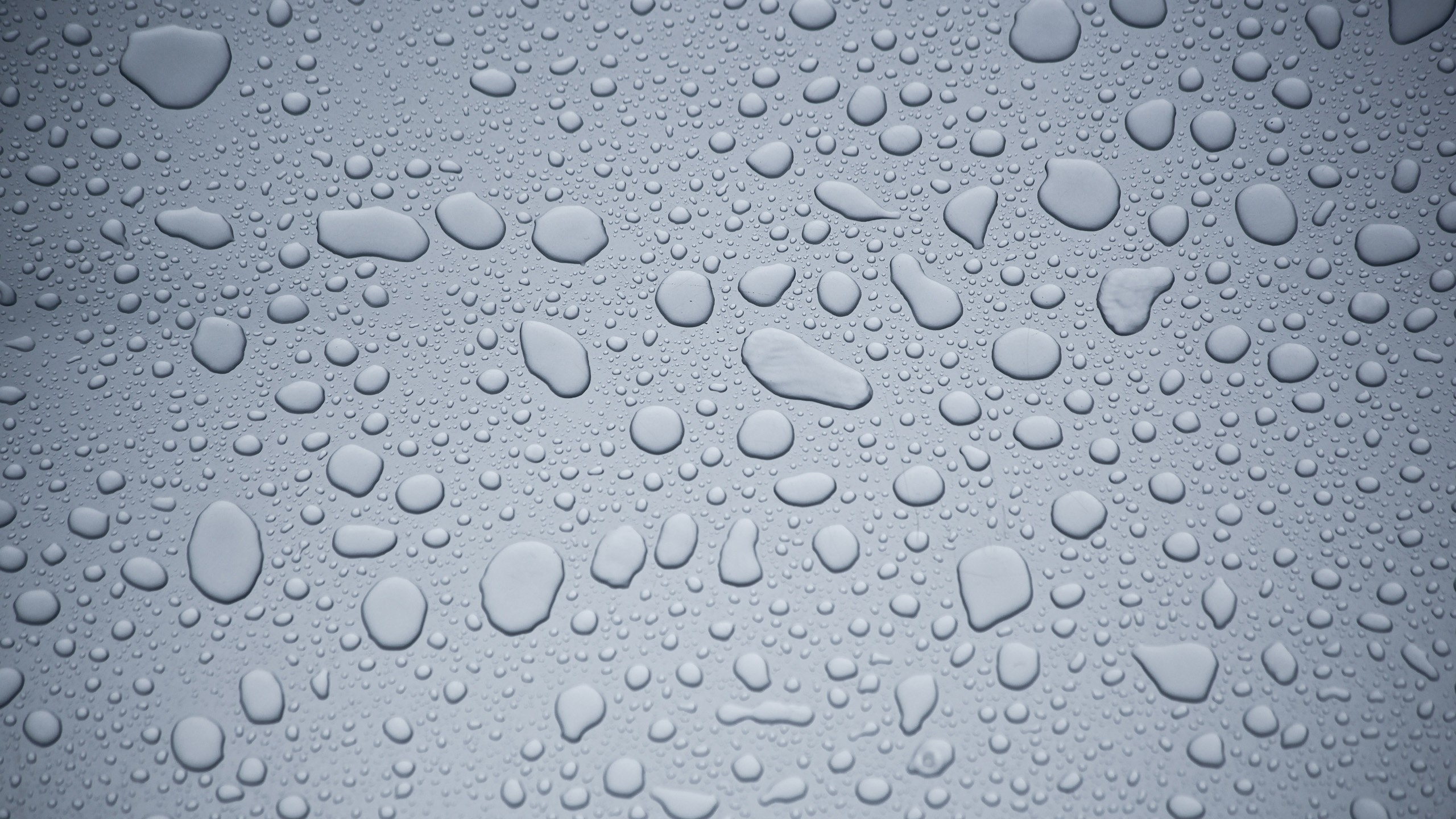 Обои вода, падение, влага, монохром, капли в разрешении 2560x1440