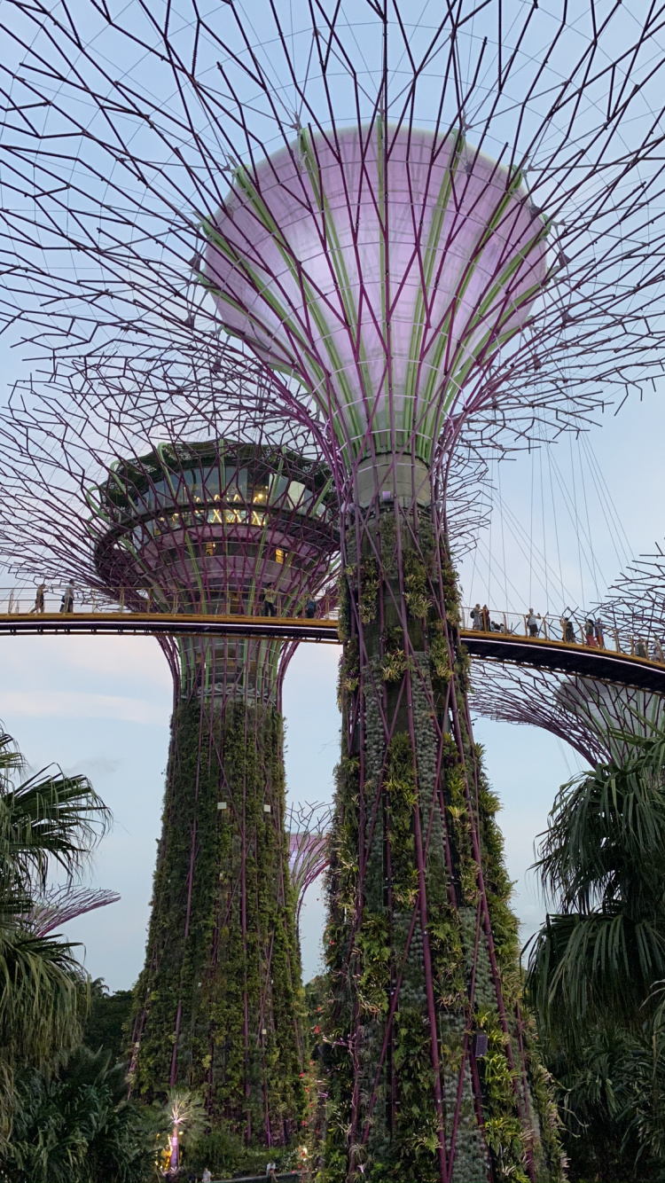 Обои Сингапур, Марина Сити Парк, Сады у залива, растительность, пурпур в разрешении 750x1334