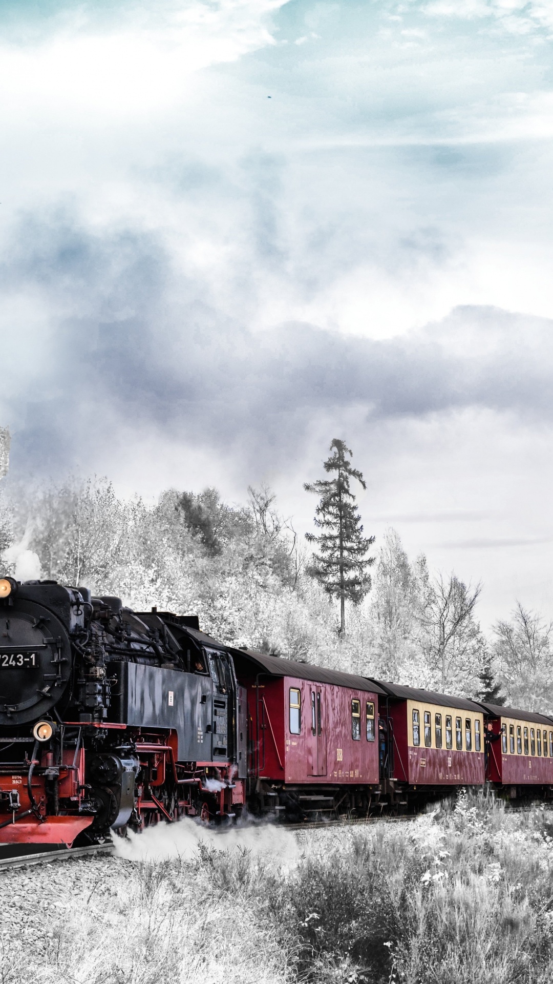 Обои зимний поезд, поезд, железнодорожный транспорт, железнодорожный вокзал, зима в разрешении 1080x1920