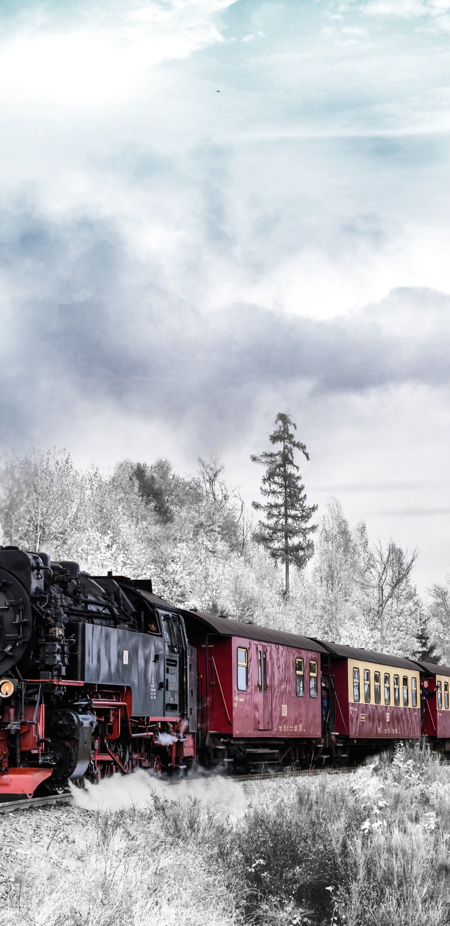Обои зимний поезд, поезд, железнодорожный транспорт, железнодорожный вокзал, зима в разрешении 1440x2960