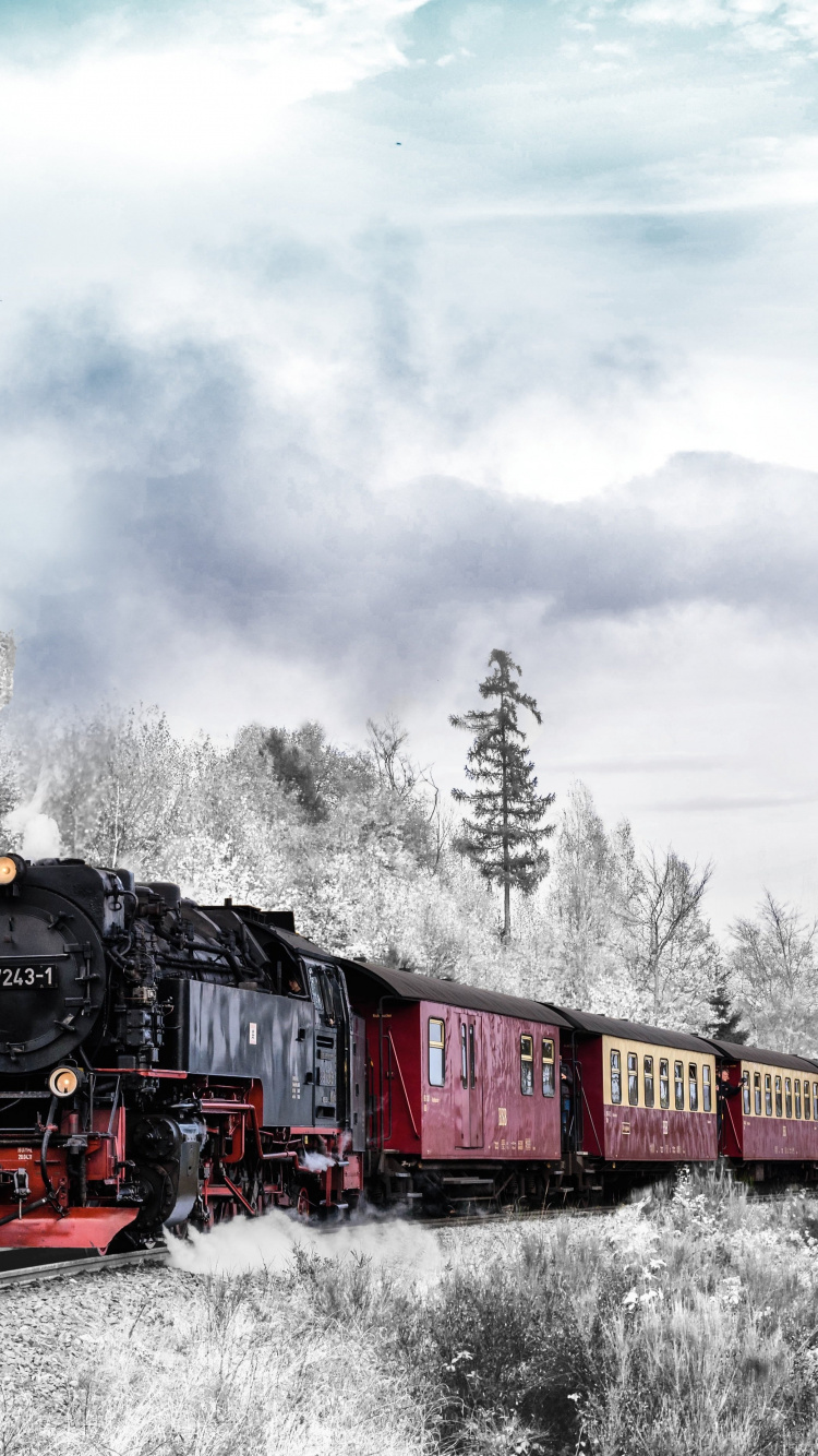 Обои зимний поезд, поезд, железнодорожный транспорт, железнодорожный вокзал, зима в разрешении 750x1334