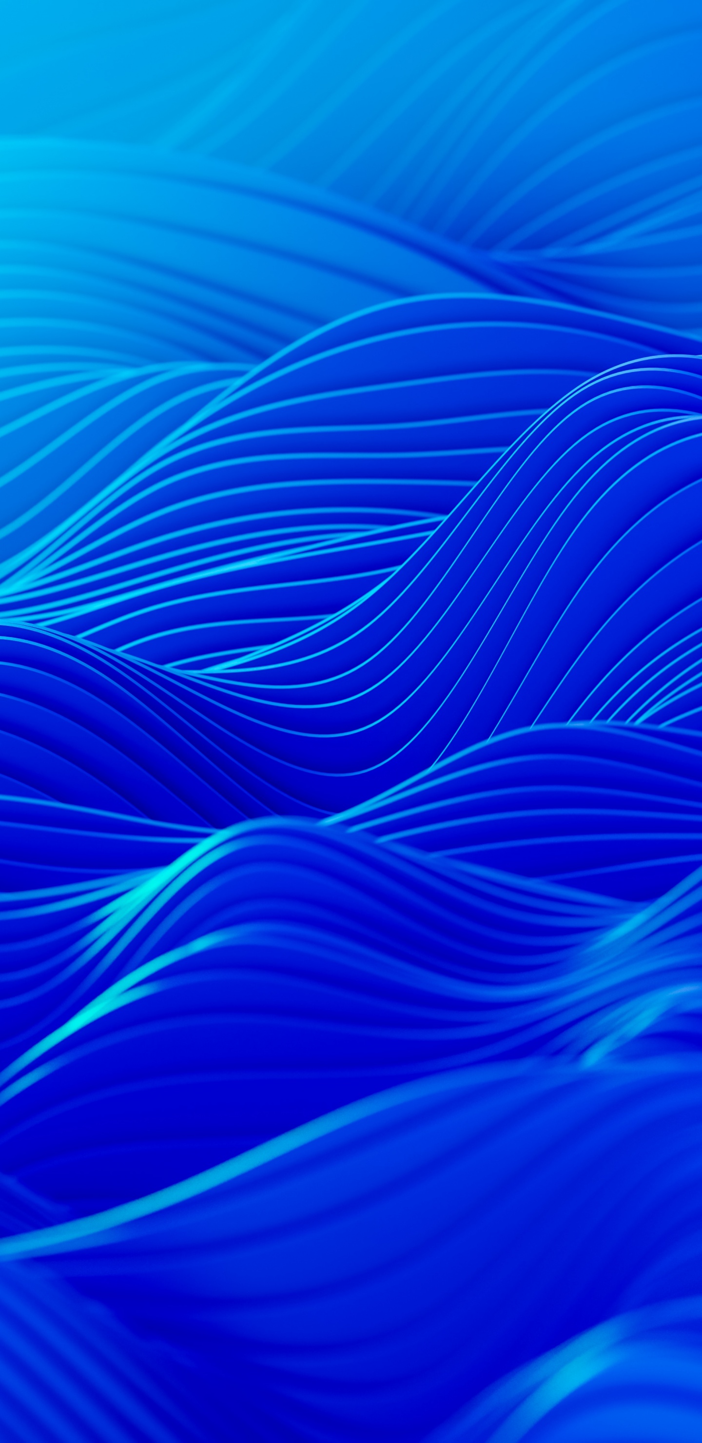 Обои электрик, питон, рукописный текст, В JavaScript, стояние в разрешении 1440x2960